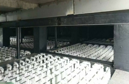 內(nèi)蒙西來峰污水處理廠生物填料改造項(xiàng)目
